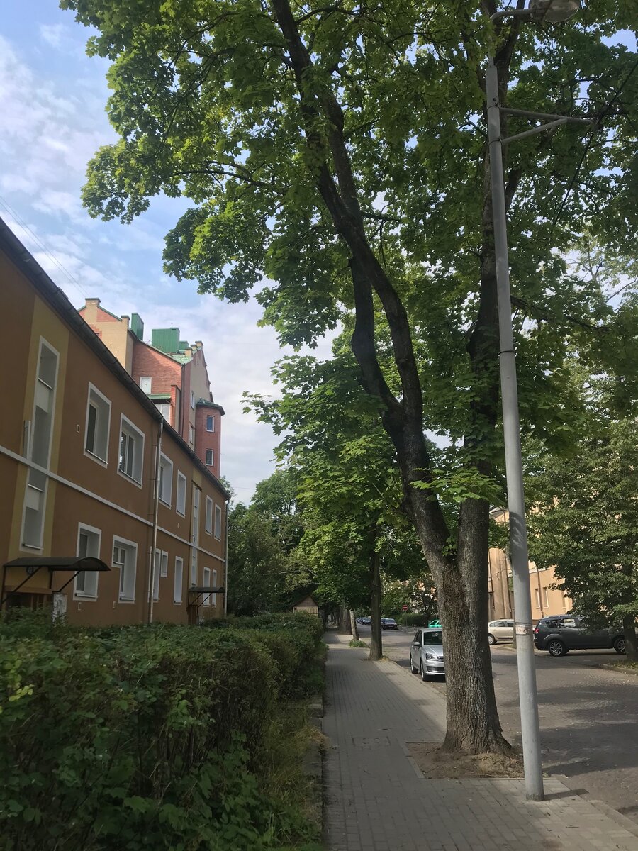 Улица Чернышевского