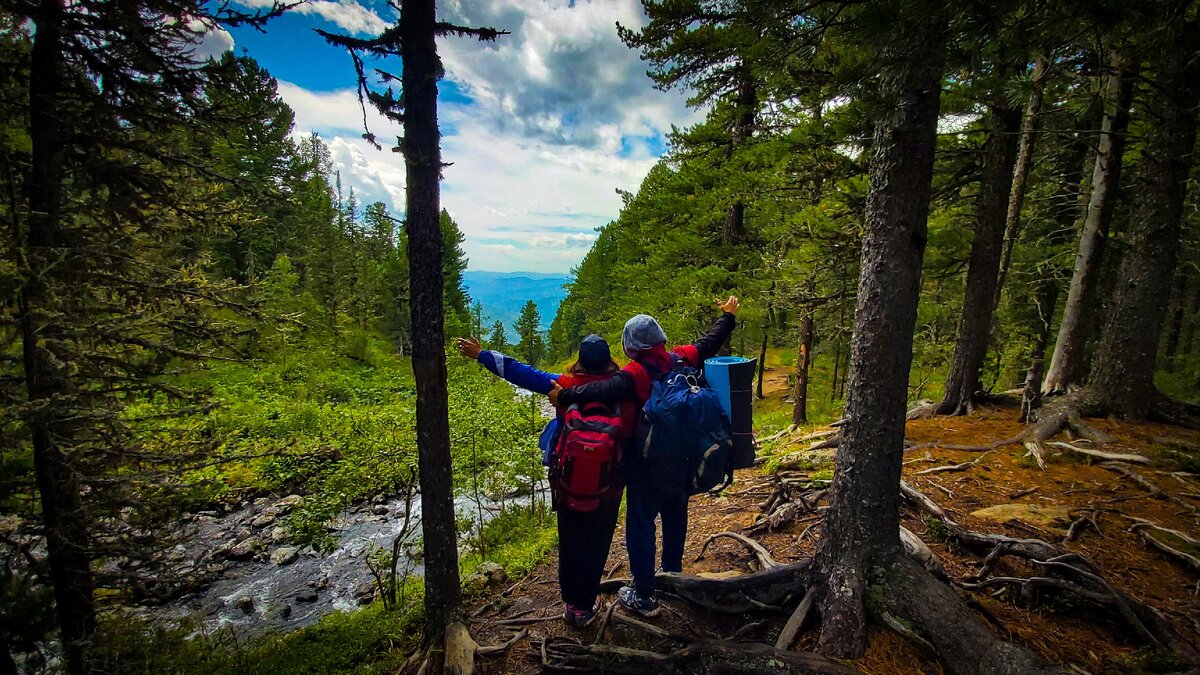 Авторы статьи