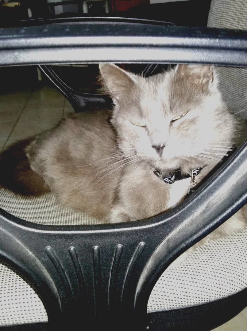 На троне! личные фото из архива ОК.