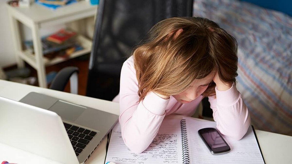 фотография  сайта mstrok.ru