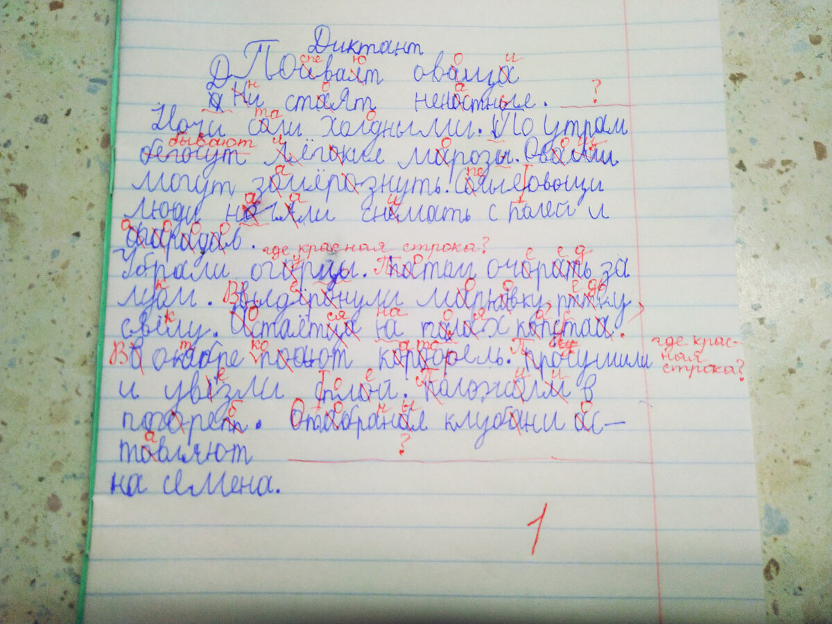 Любопытную картину наблюдают ежедневно жители одного микрорайона таллина диктант