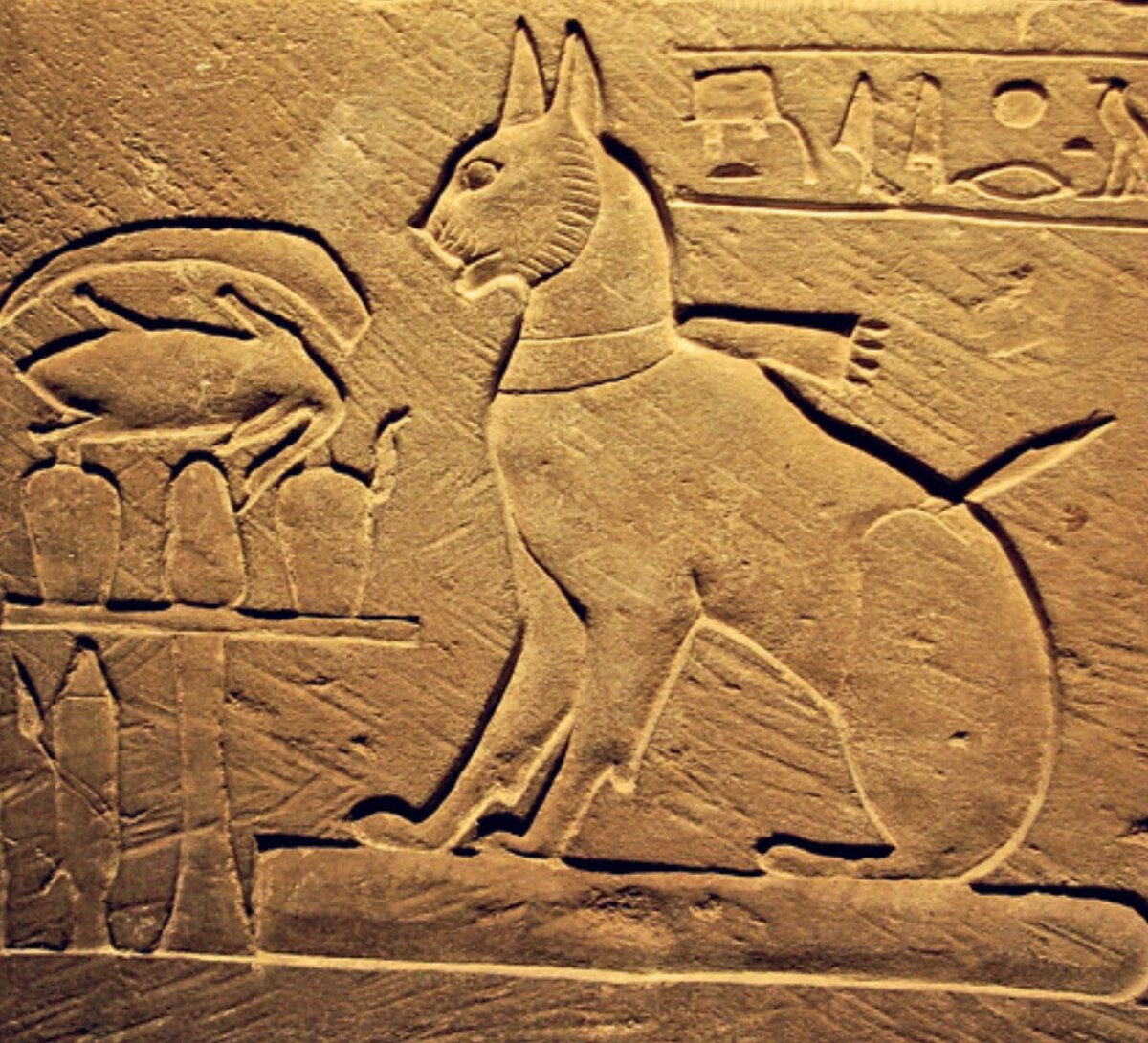 Египетская кошка в древнем Египте