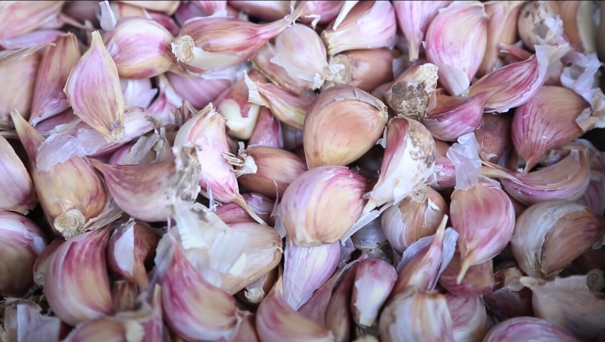 крупный чеснок