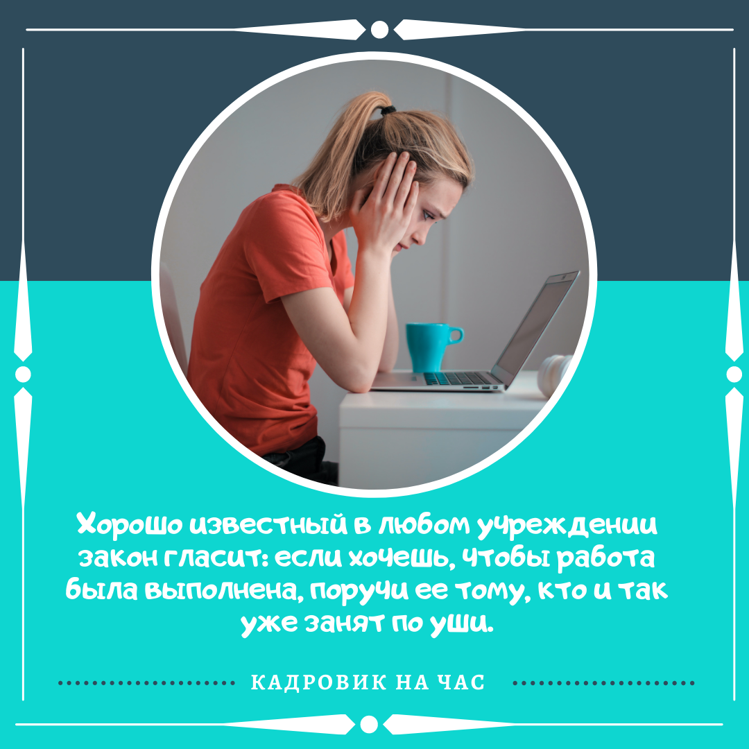 Можно ли самозанятым работать на официальной работе. Самозанятость картинки для презентации. Самозанятость презентация. Варианты самозанятости для женщин. Самозанятость в сети пример.