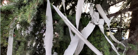 Шикардосик. Согласны? 