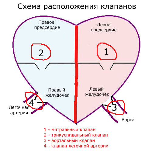 Схема расположения клапанов