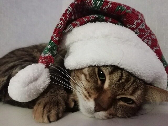 Джоди уехала домой 14 сентября 2019 года