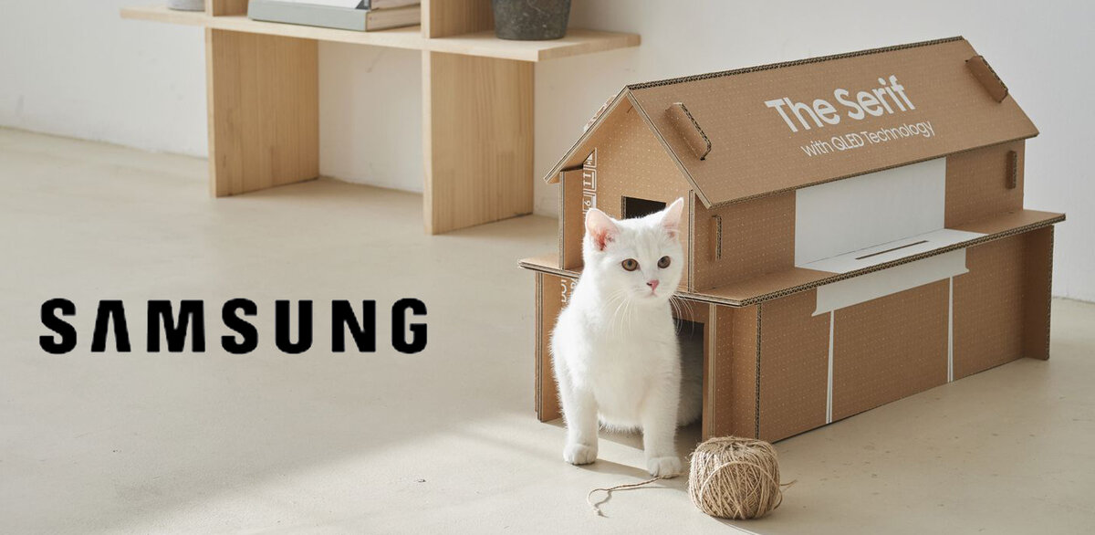 Домик для кошки из упаковки от телевизора