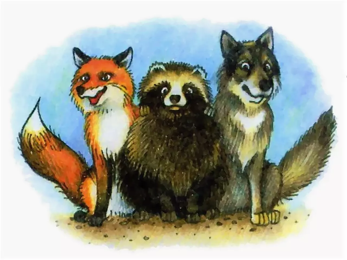 Картинка волк лиса медведь. Енотовидная собака и лиса. Енотовидная собака и волк. Волк, лиса, енотовидная собака. Лис и енот.