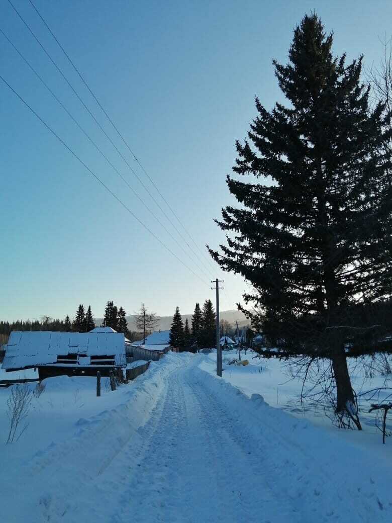 Куда ведёт дорожка?