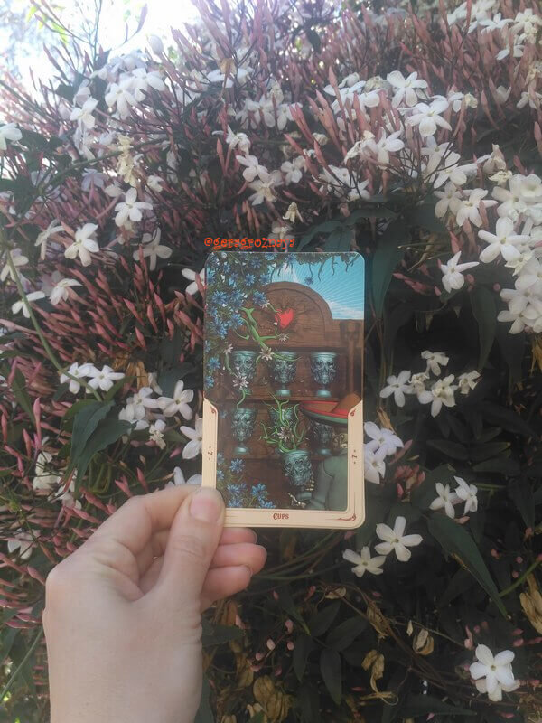 7 (семёрка) чаш, Santa Muerte