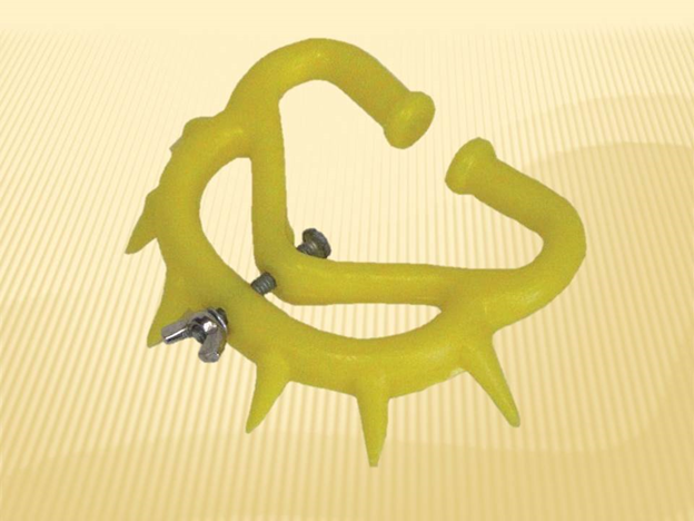 Кольцо в нос коровы.