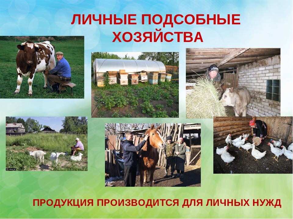 Бизнес план для сельской местности примеры