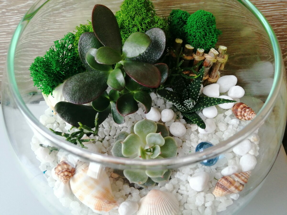 Первый флорариум