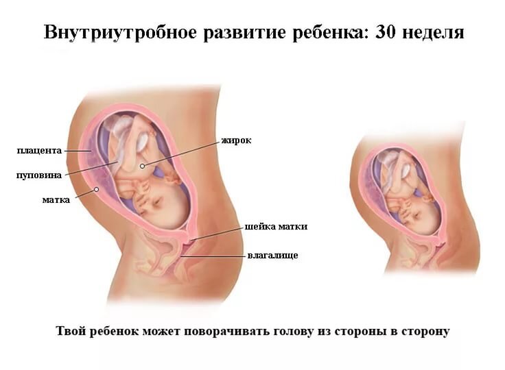 Мужик сосет клитор телки и ебет ее по самые яйца