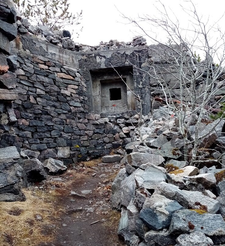 Фото автора.