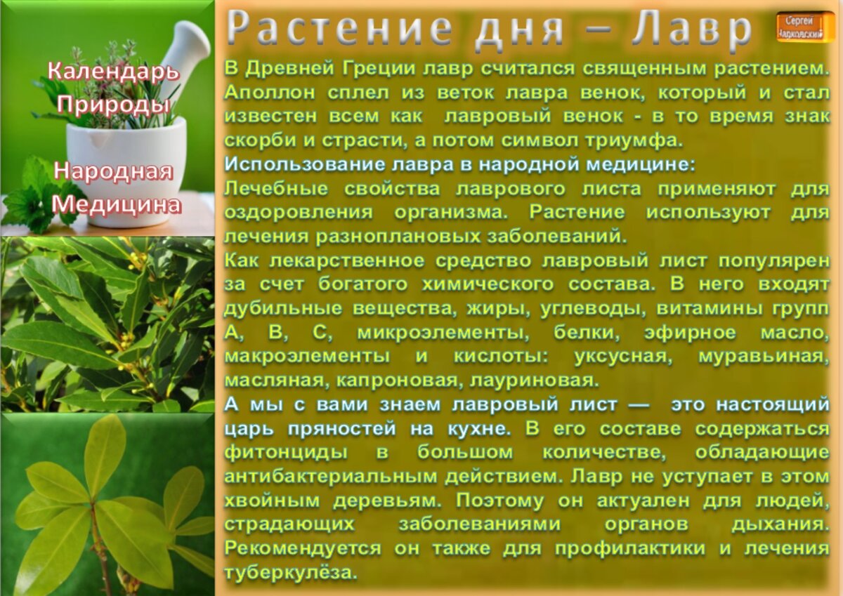 7 мая - все праздники дня во всех календарях. Традиции, приметы, обычаи и  ритуалы дня. | Сергей Чарковский Все праздники | Дзен