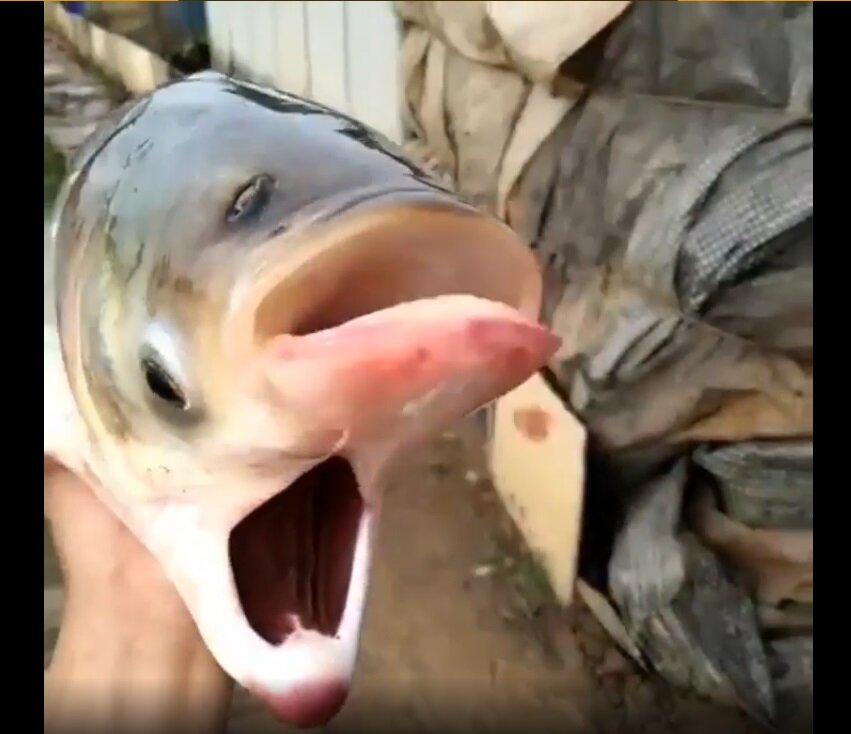 Источник: instagram.com 