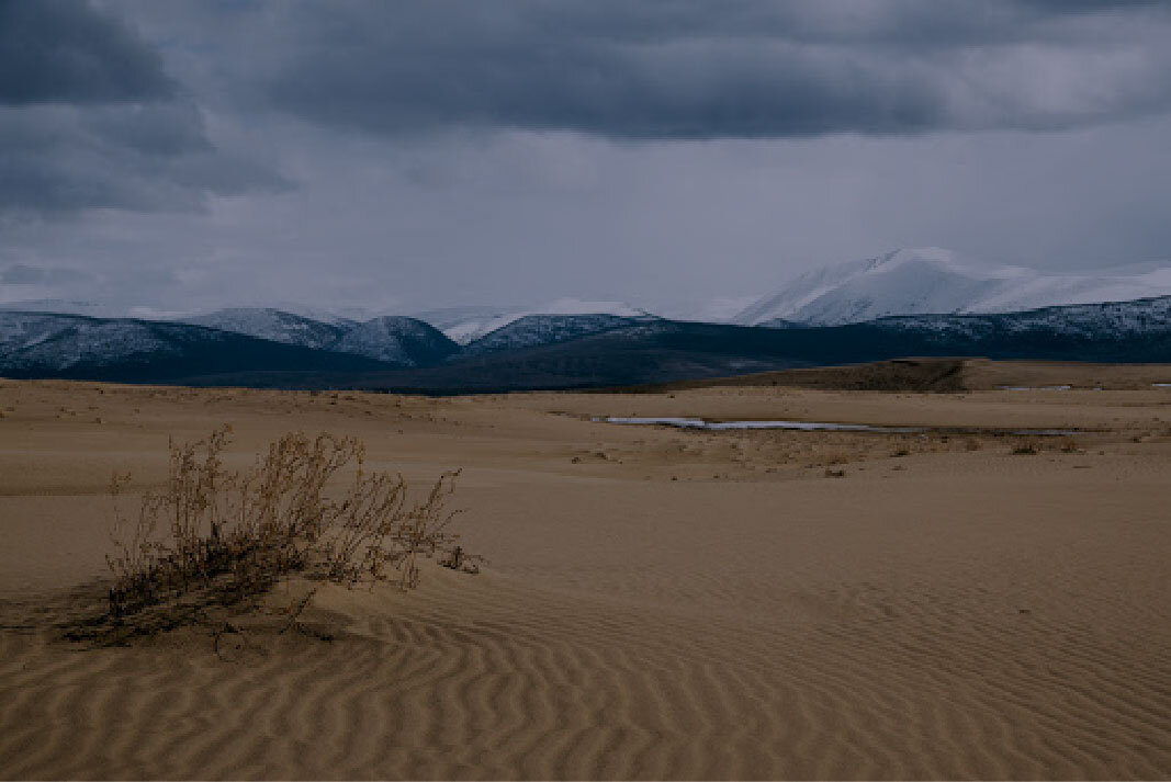 Яндекс картинки