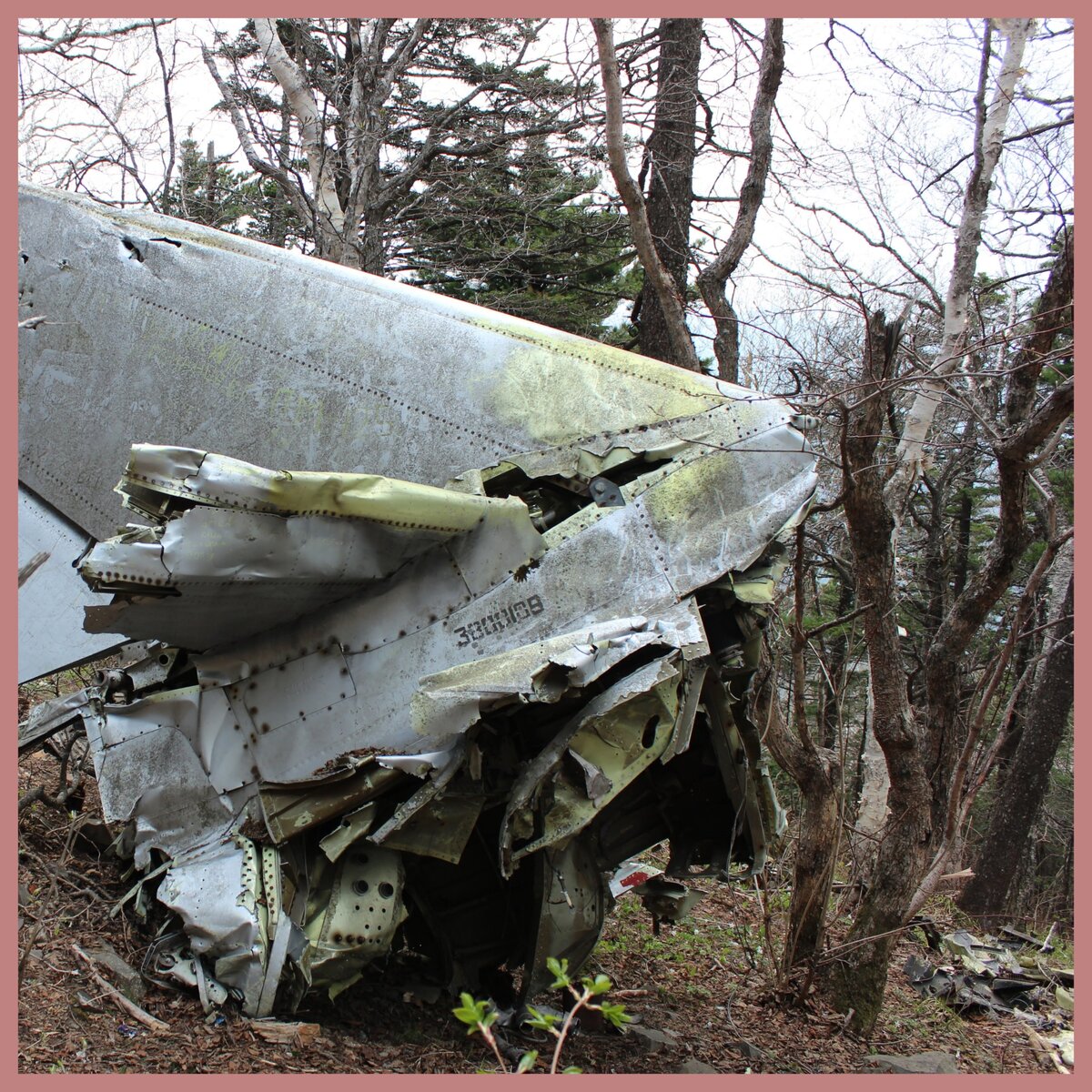 Обломки самолёта ИЛ-28Т