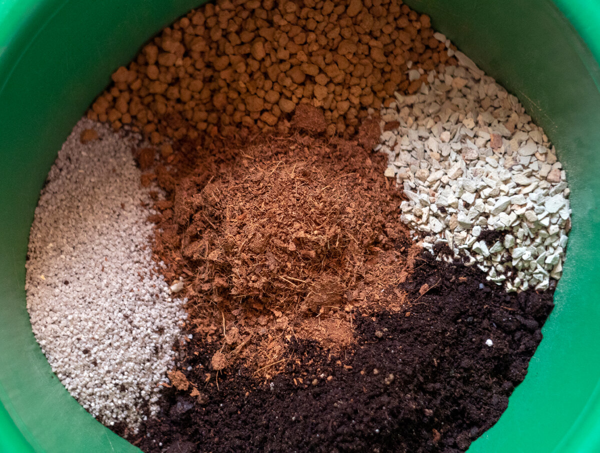 В какую почву лучше сажать. Перлит вермикулит керамзит. Замиокулькас субстрат. Почва для крассулы. Субстрат для толстянки.
