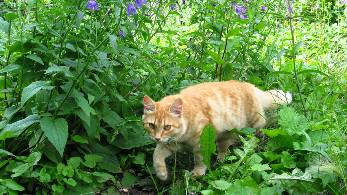 Фотография автора