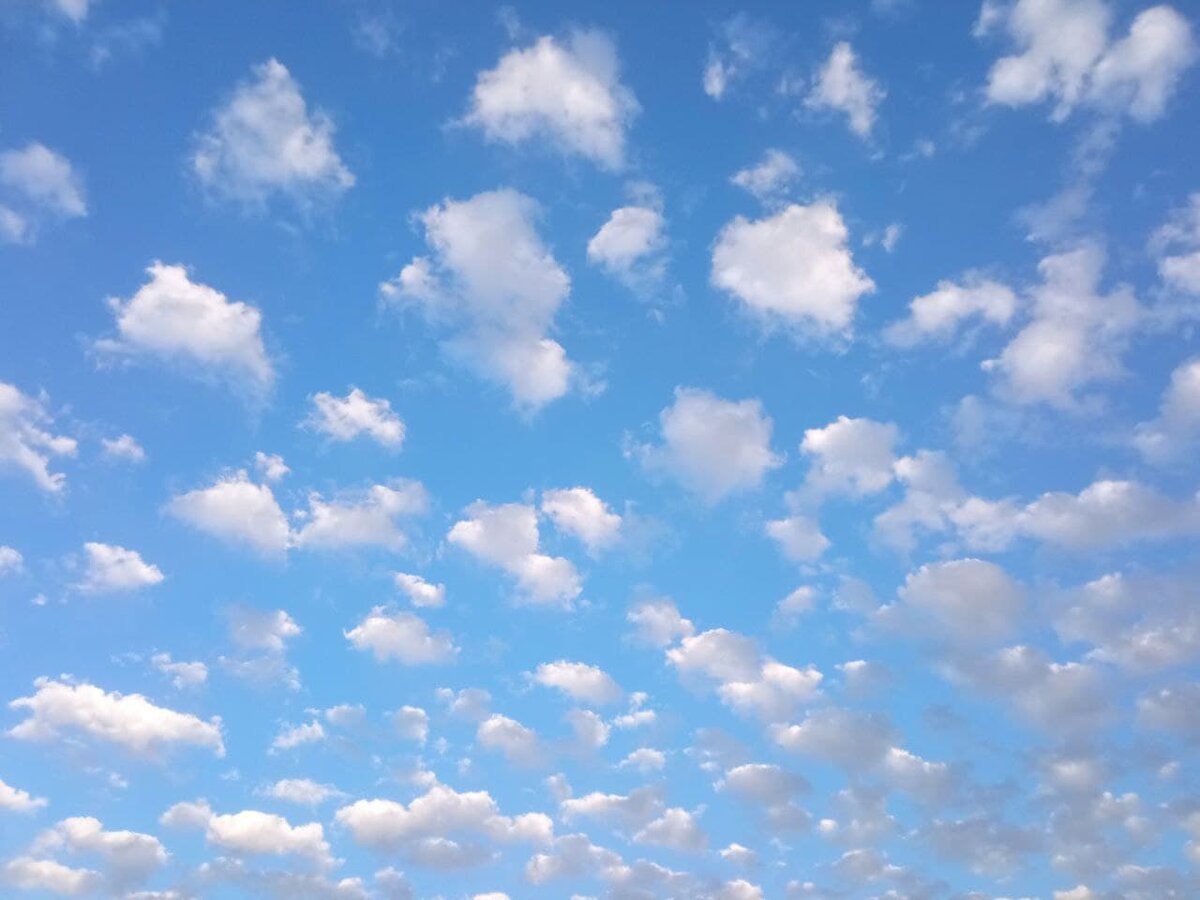 Как хочется мирного неба для всех... 