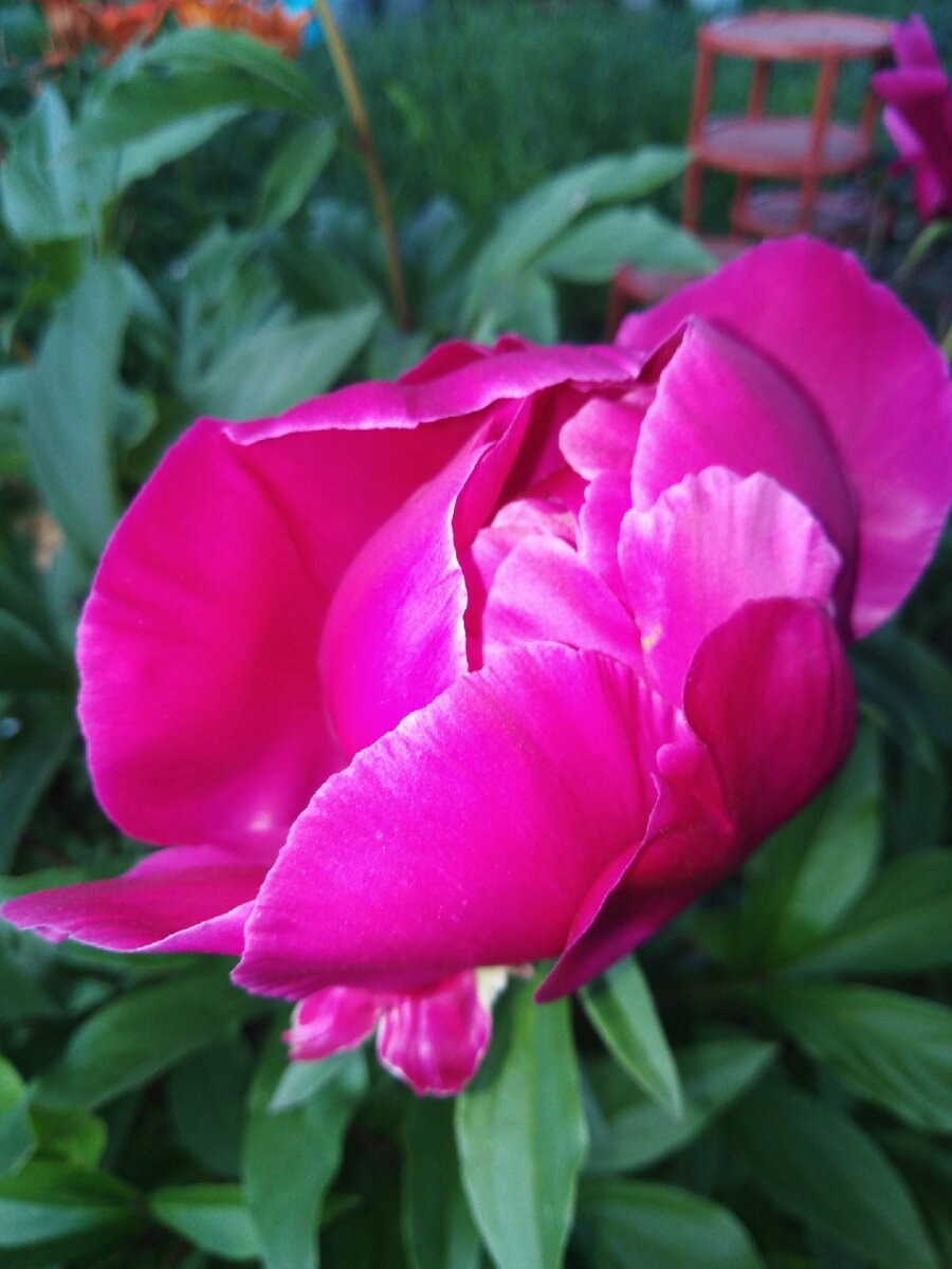 Фотография из личного архива автора 