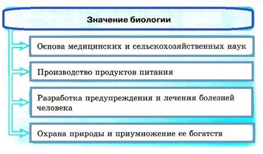 Роль современной биологии. Роль биологии в практической деятельности. Роль биологии в жизни и практической деятельности человека.