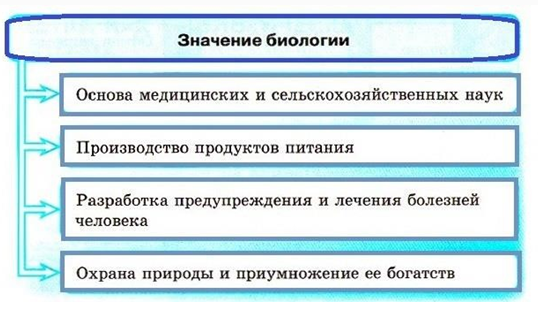 Роль биологии в формировании современной естественнонаучной картины мира в практической деятельности людей