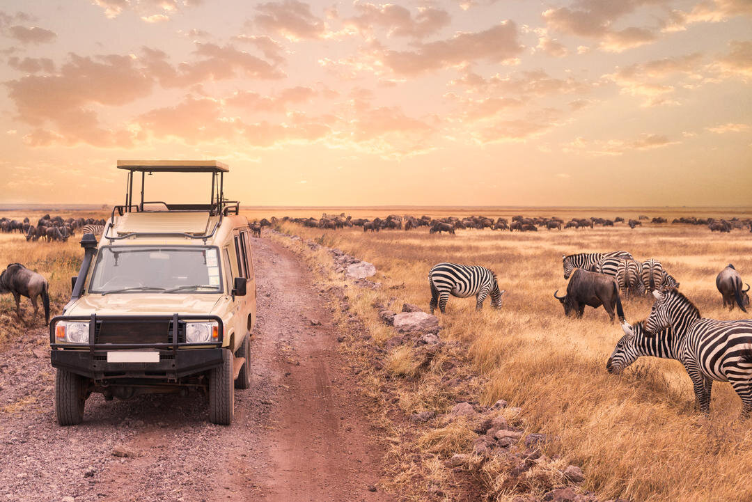 Национальный парк Масаи-Мара (Maasai Mara)