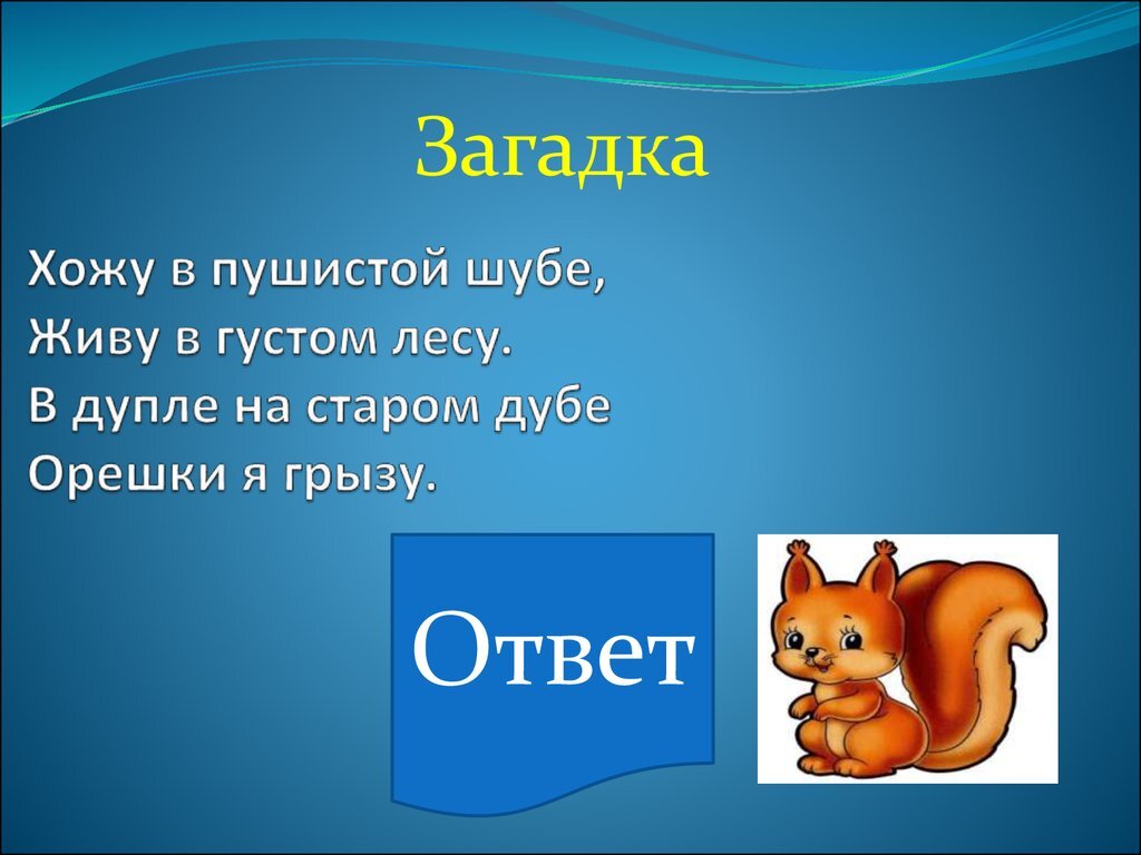 50 загадок с подвохом – сложных и смешных - Игры, развитие и обучение детей от 7 до 10 лет