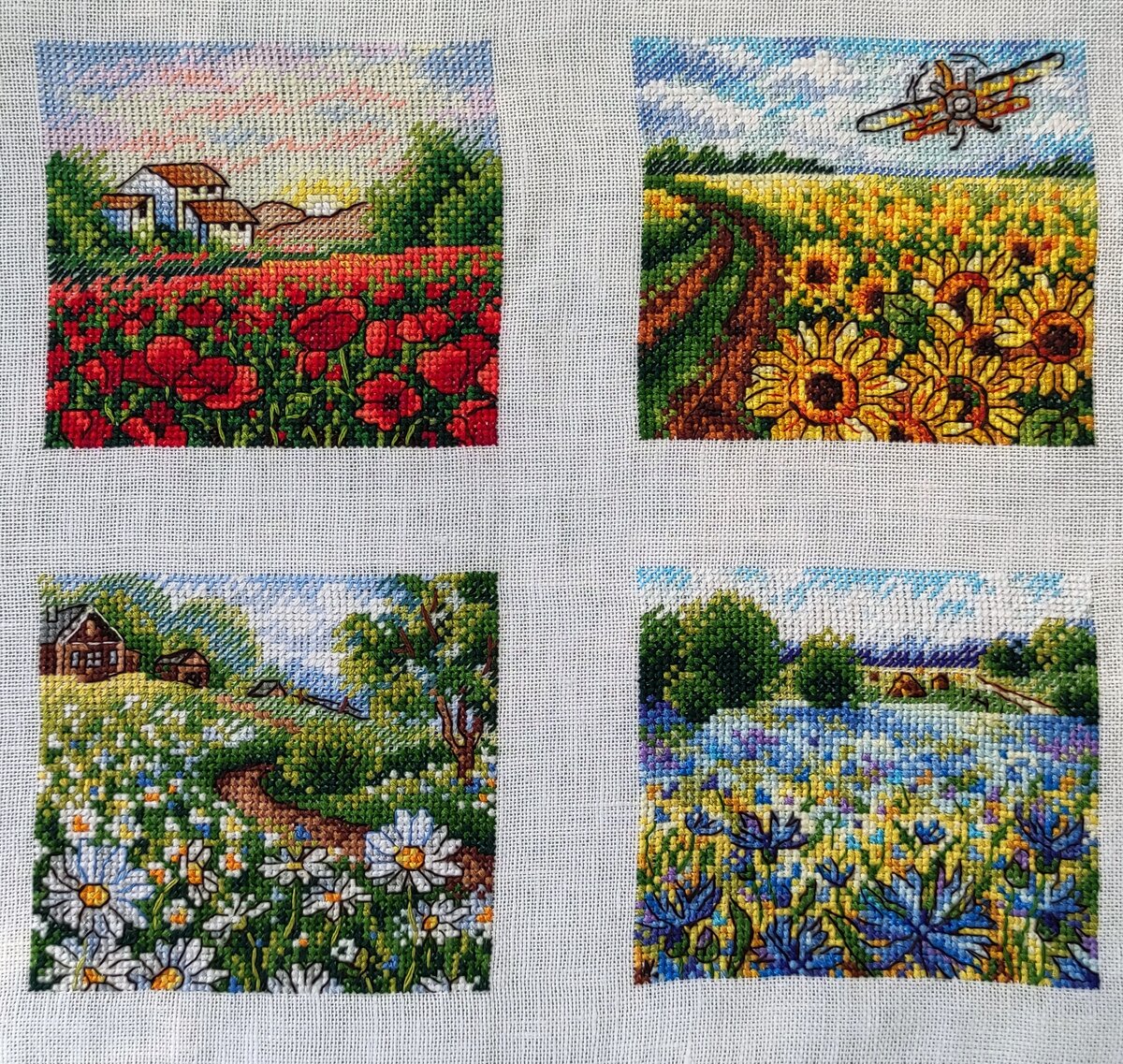 "Маковое поле", "Море подсолнухов", "Летнее раздолье", "Поле васильков". Здесь и далее все фото сделаны автором блога