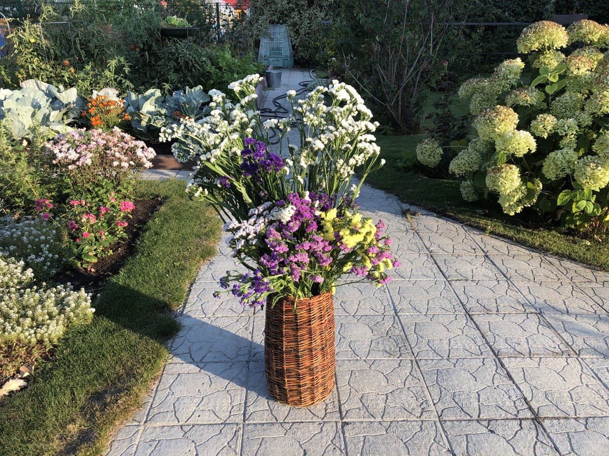 Сад это не только грядки, а еще и красота