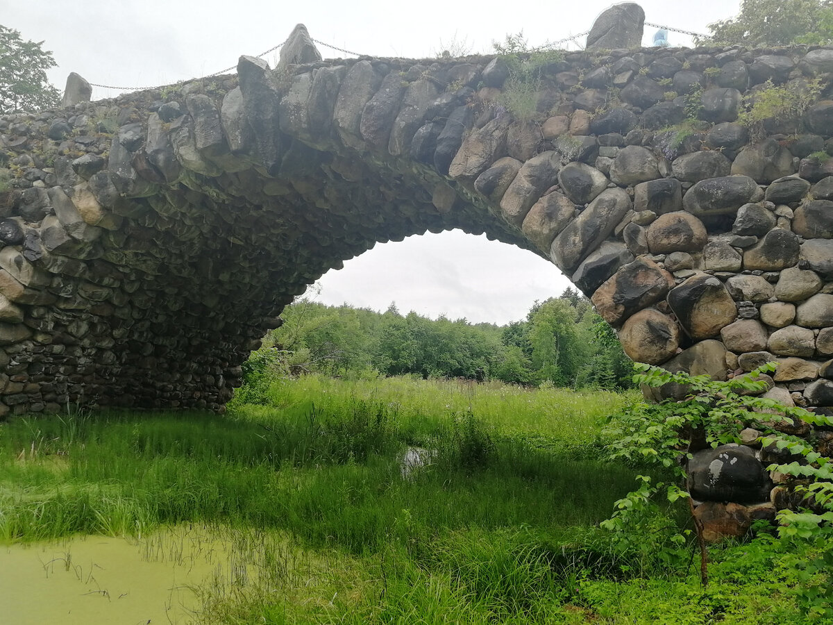 Праздник в василево торжок