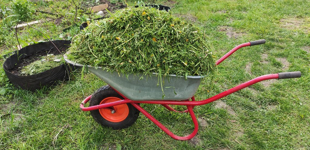 добро собрала, еду в теплицу