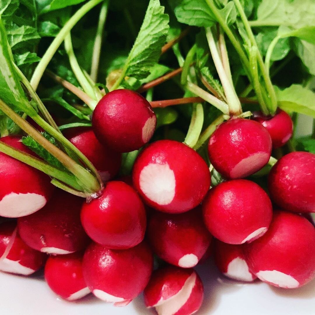 Вкусный редис. Редис ред Корал. Редис Алекс ф1. Родина редиса. Микрозелень редис ред Корал