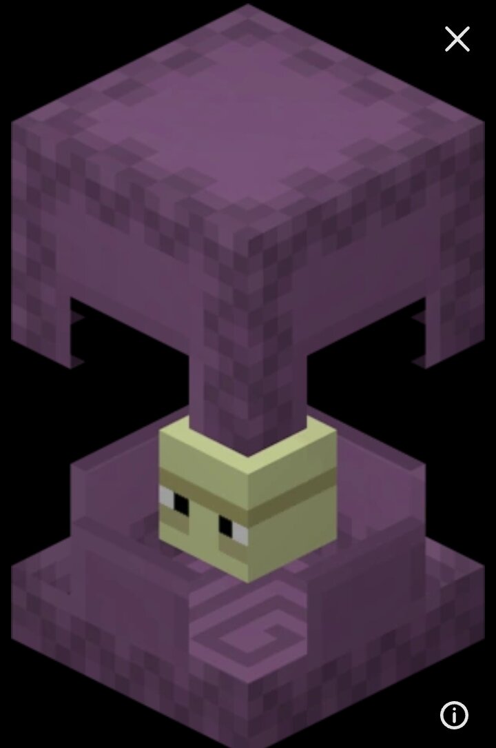 Вот он гость нашей программы