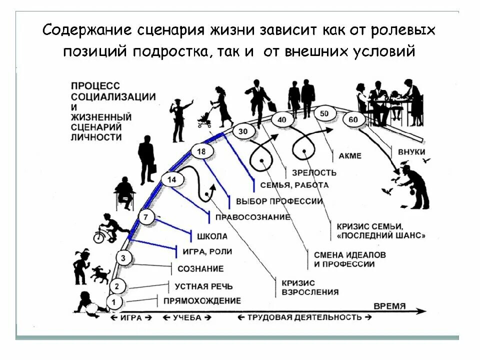 Как называется путь формирования. Жизненный сценарий человека. Жизненный сценарий личности. Фазы развития человеческой личности. Схема жизни человека.