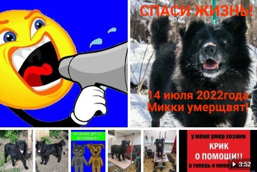 -2-2