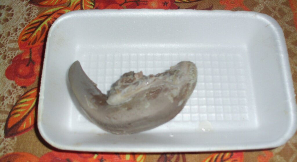 Отваренный свиной язык на белом лотке. Личное фото автора канала Житейская проза