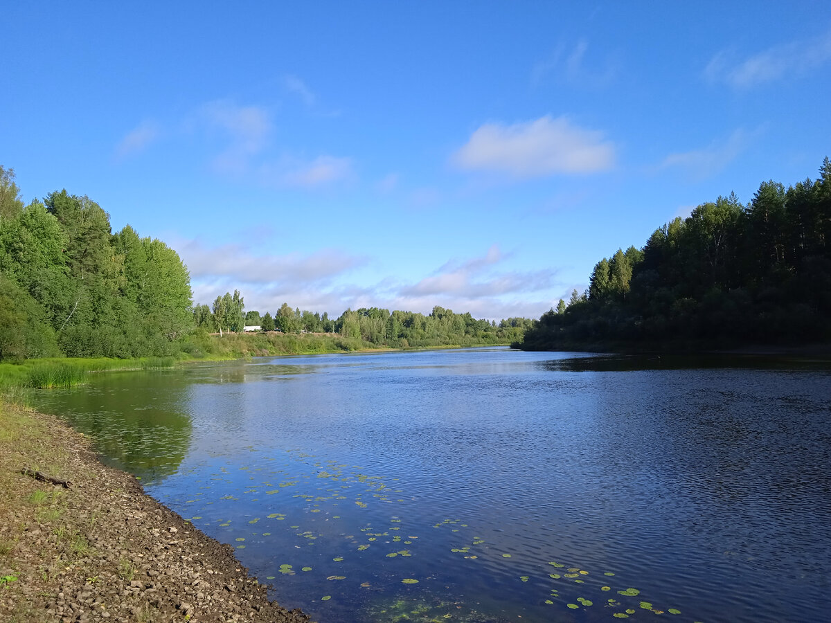 Фото автора, 4 сентября 2022г.