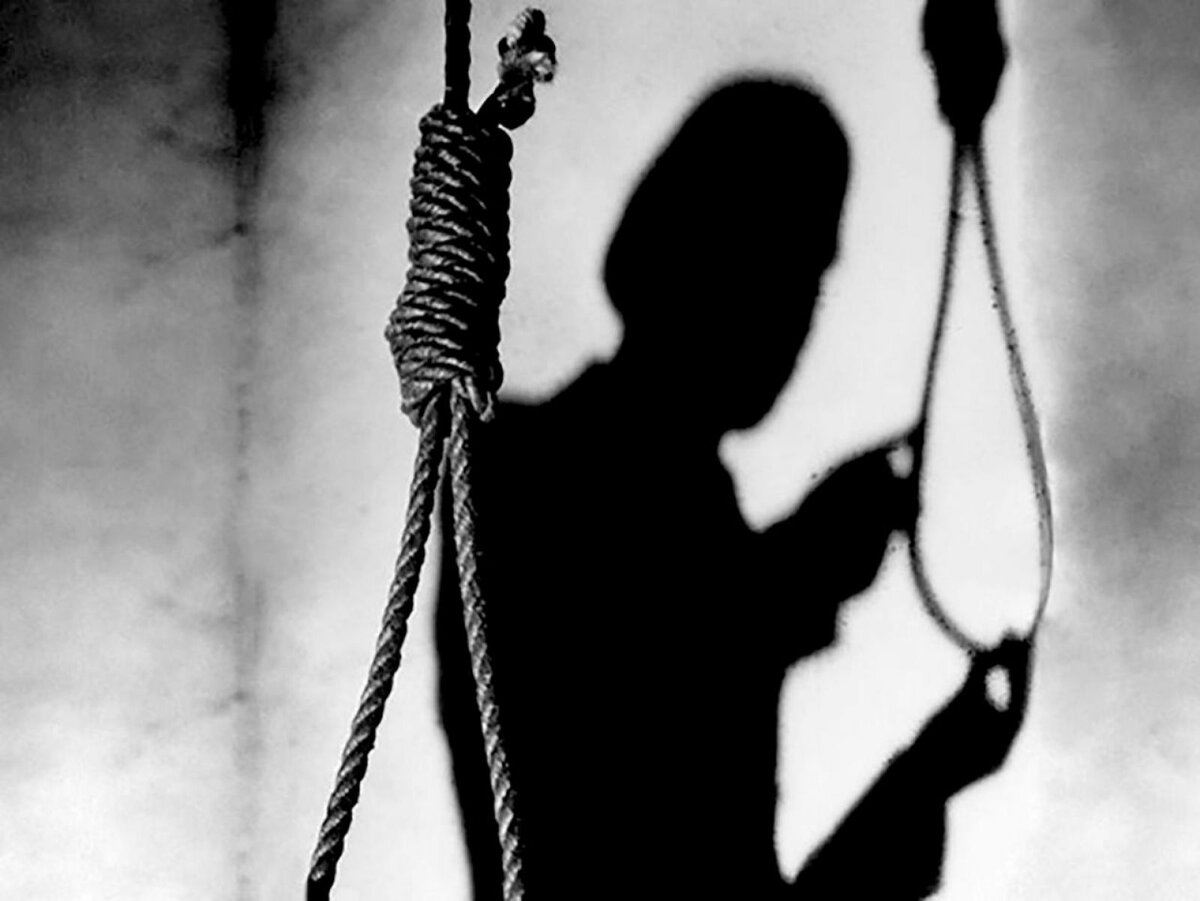 Изображение взято из открытых источников интернета. 