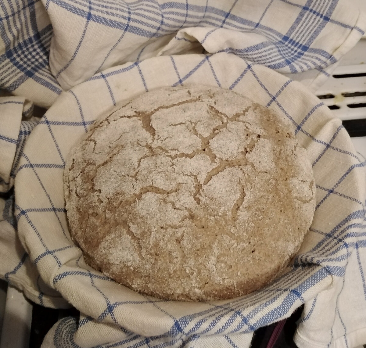 Фото автора.  Расстойка хлеба перед выпечкой