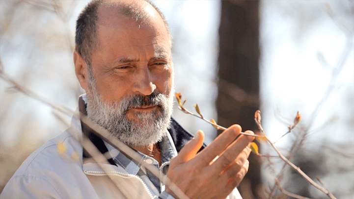 Лазарев Сергей Николаевич