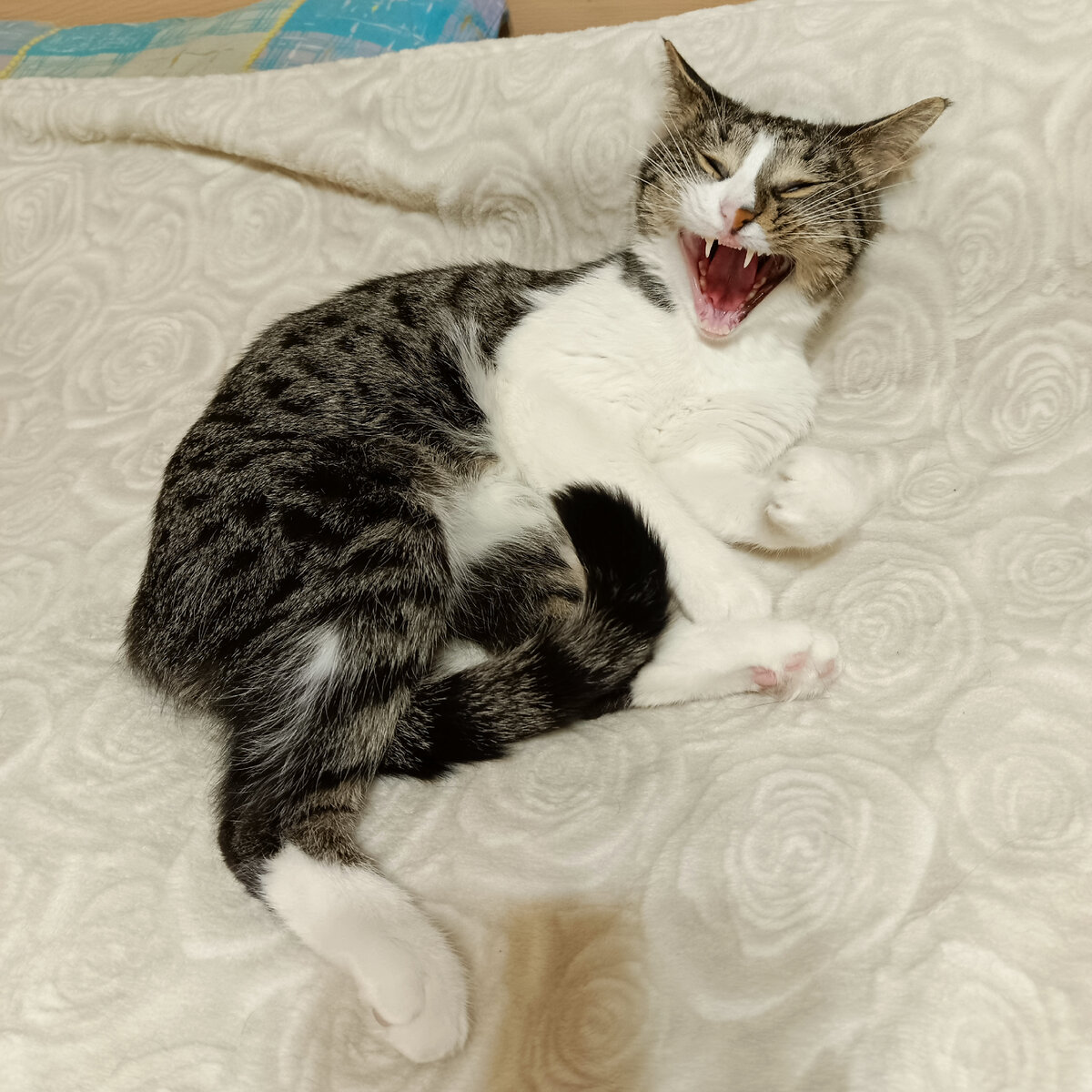 🤔 мне достался гибрид со змеёй?