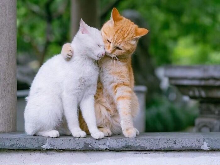 Изображение из pinterest