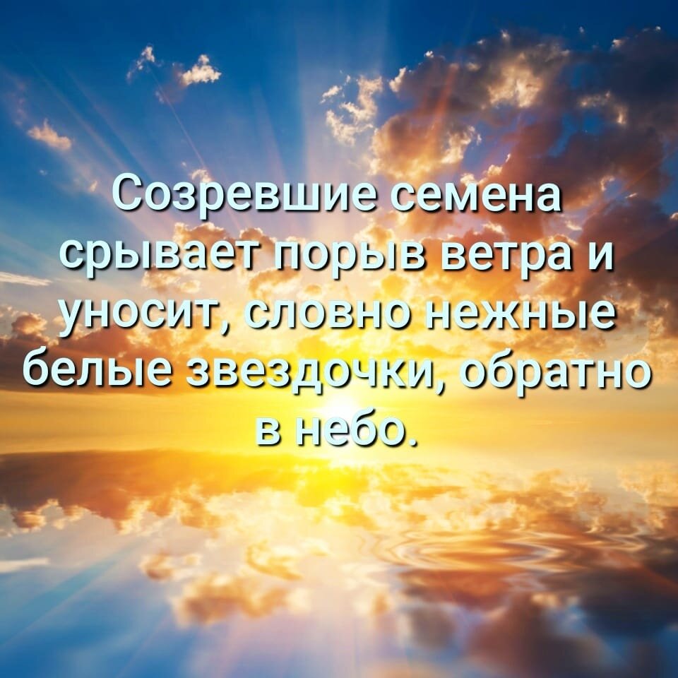 Ведьмёныш. Судьбы. Про Альфреда, про материнскую любовь и про щекотуна |  Ведьмины подсказки. Мифы, фэнтези, мистика | Дзен