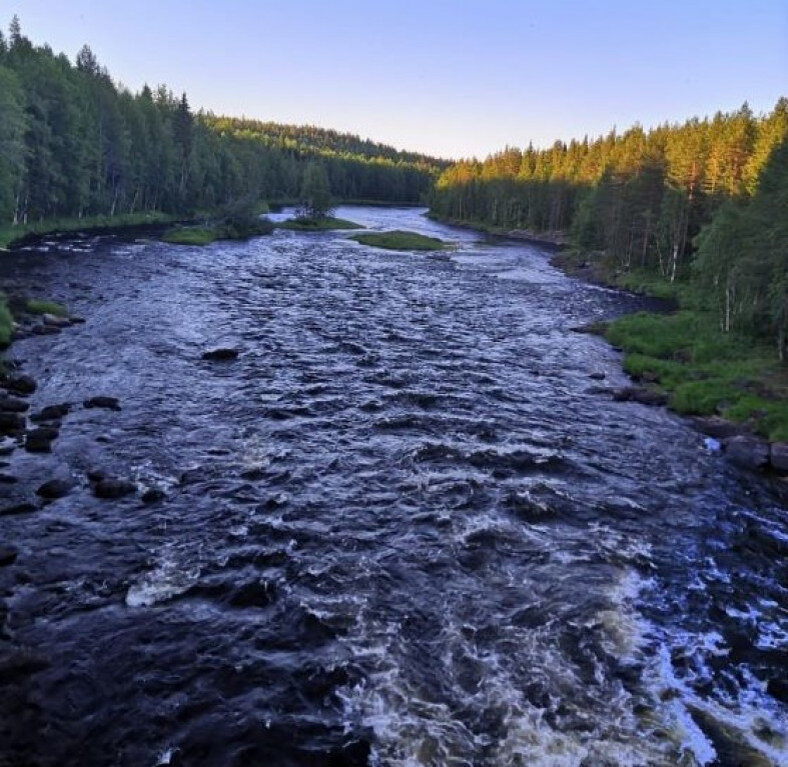 Река в Карелии Савайнйоки