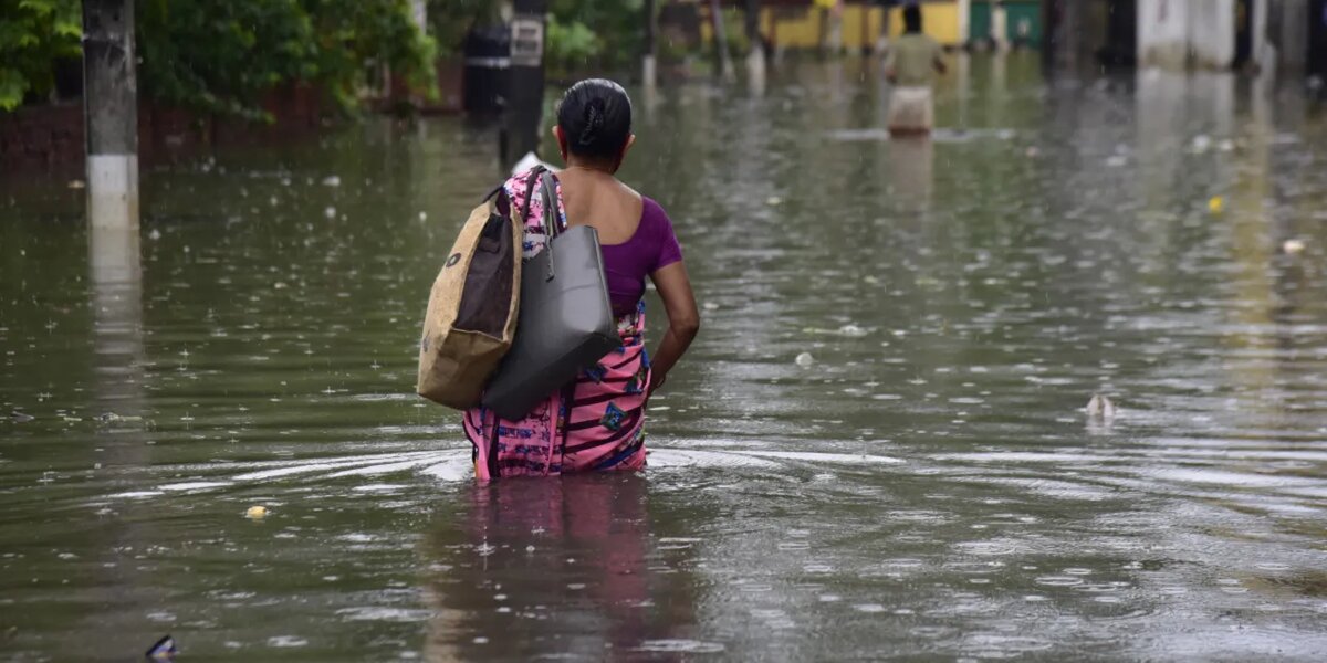 Муссонный дождь вызванный муссонном (ветром). Источник: https://news.store.rambler.ru/img/c251dfeb57cb6f6dea42a4887b05ba1a?img-format=auto&img-1-resize=height:710